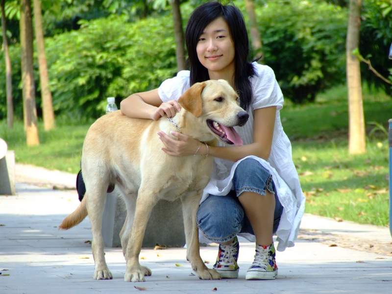 风中的绿叶的第一张照片--汕头相亲服务中心