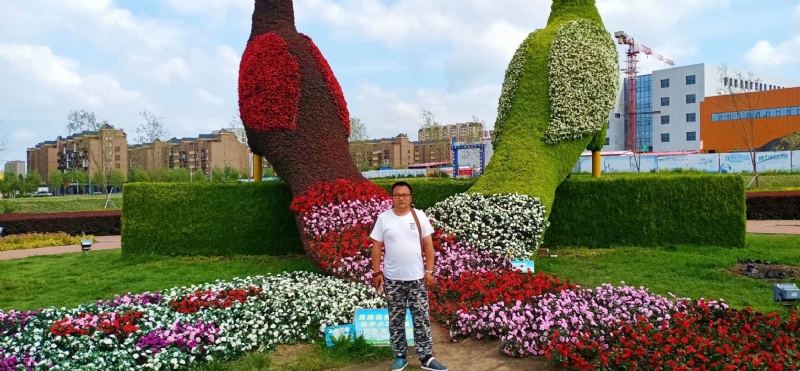 尘埃的第一张照片--汕头相亲服务中心