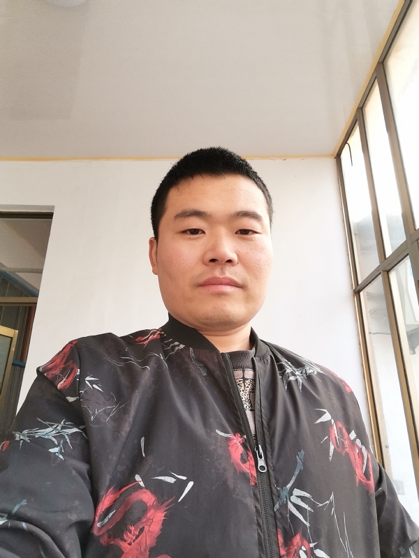 会飞的猪的第一张照片--汕头相亲服务中心