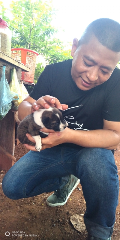 深圳相亲的第一张照片--汕头相亲服务中心