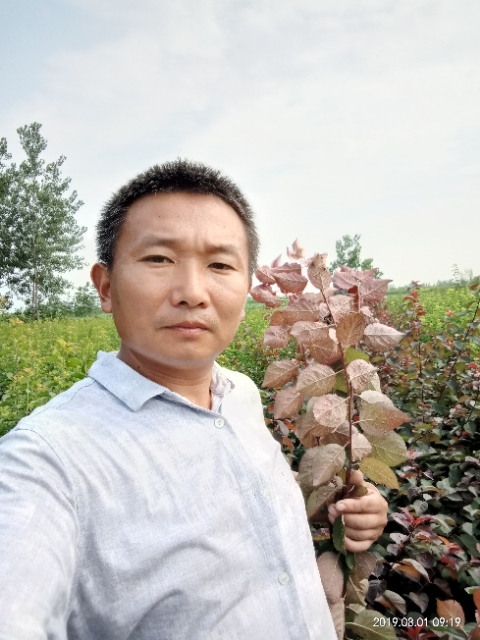 孩子爸的第一张照片--汕头相亲服务中心