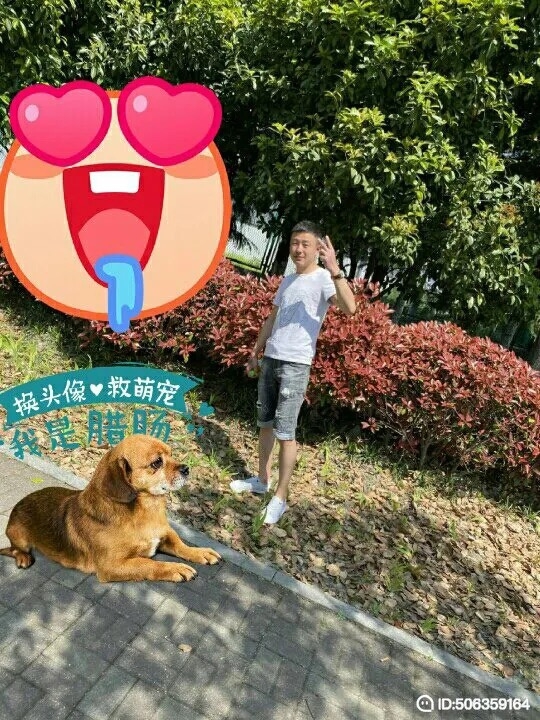 我若不坚强谁替我勇敢的第五张照片--汕头相亲服务中心