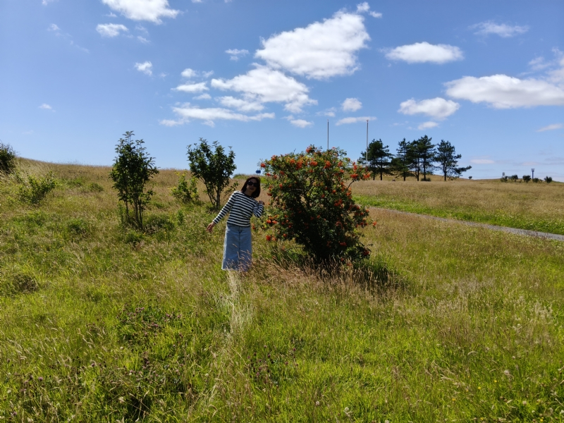 秋蝉的第一张照片--汕头相亲服务中心