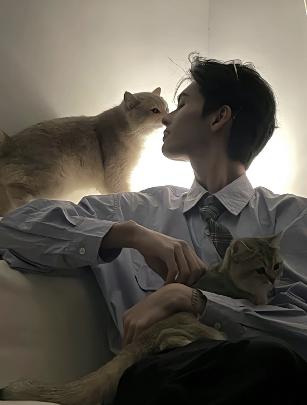 怪猫的第一张照片--汕头相亲服务中心