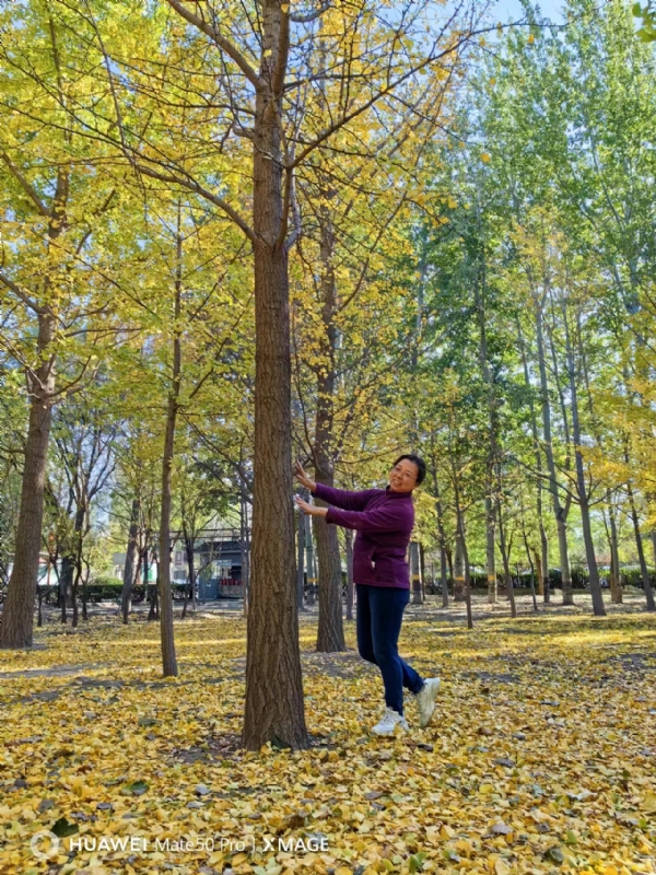 Shirley的第一张照片--汕头相亲服务中心