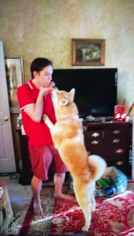 Leluch的第一张照片--汕头相亲服务中心