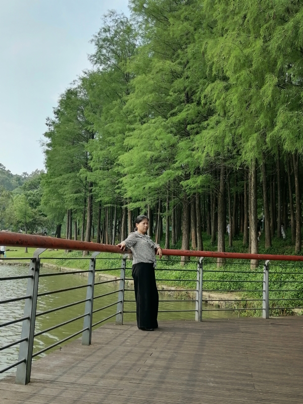 遗失的记忆的第二张照片--汕头相亲服务中心