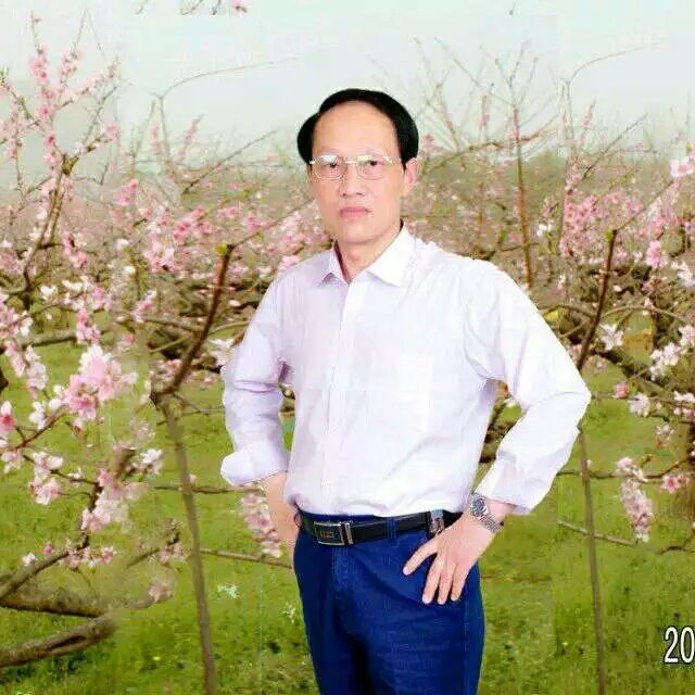 枫叶的第一张照片--汕头相亲服务中心