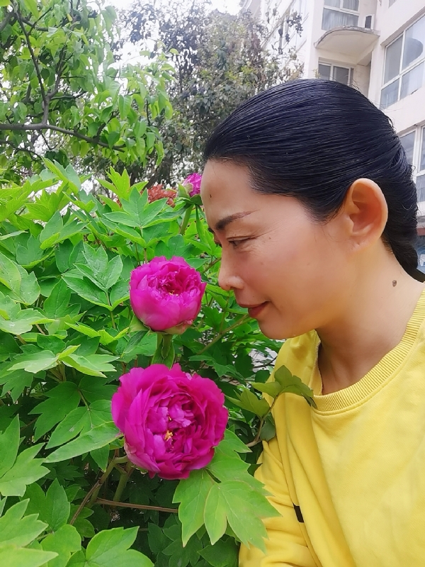 厚德载物的第一张照片--汕头相亲服务中心