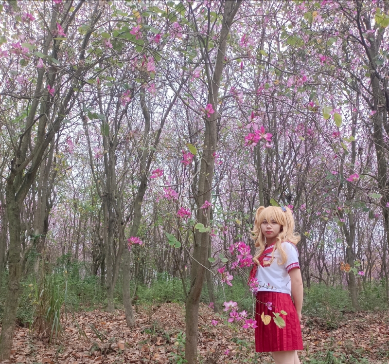 暮秋的第三张照片--汕头相亲服务中心