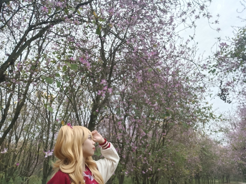 暮秋的第五张照片--汕头相亲服务中心