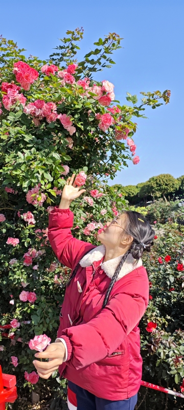 狗狗的第一张照片--汕头相亲服务中心