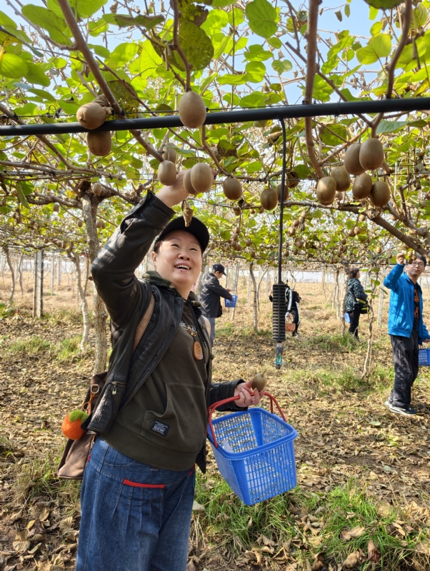 夜莺的第四张照片--汕头相亲服务中心